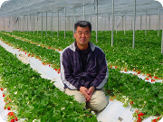 �������̖񑩂͔_��s�g�p